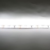 Светодиодная лента  Standart PRO class, 5630, 60led/m, day white, 12V, IP33, P306