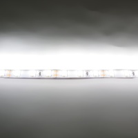 Светодиодная лента  Standart PRO class, 5630, 60led/m, day white, 12V, IP33, P306