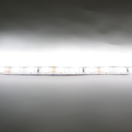 Светодиодная лента  Standart PRO class, 5630, 60led/m, day white, 12V, IP33, P306