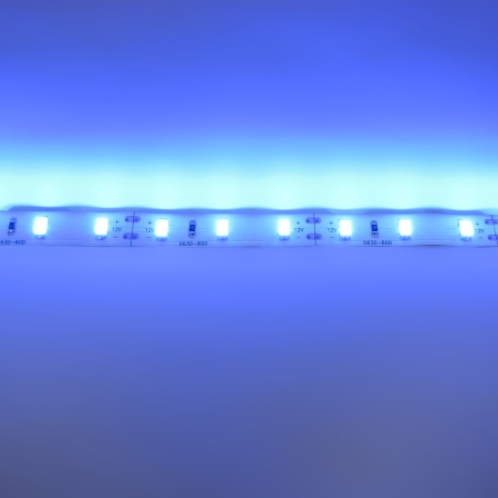 Светодиодная лента  Standart PRO class, 5630, 60led/m, Blue,12V, IP33
