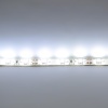 Светодиодная лента LUX class, 3528, 60 led/m, White,12V, IP65