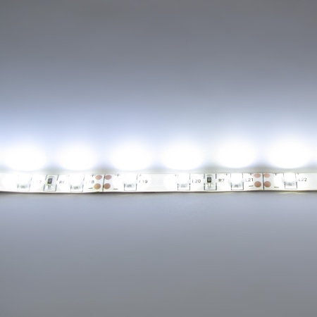 Светодиодная лента LUX class, 3528, 60 led/m, White,12V, IP65