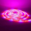 Светодиодная фитолента class Premium 2835 60 led/m, fito, 12V, IP33, A46