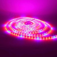 Светодиодная фитолента class Premium 2835 60 led/m, fito, 12V, IP33, A46