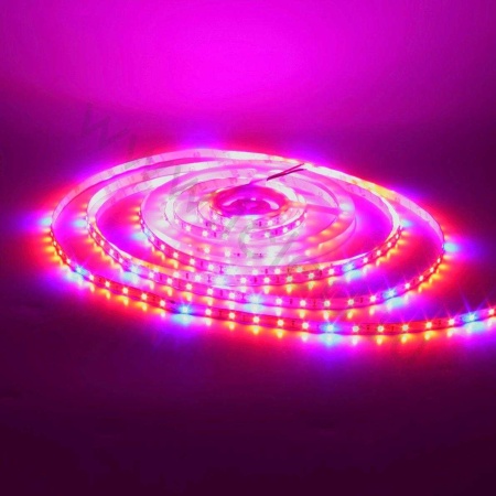 Светодиодная фитолента class Premium 2835 60 led/m, fito, 12V, IP33, A46