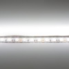 Светодиодная лента  Standart PRO class, 5050, 60led/m, day white, 12V, B150, IP33
