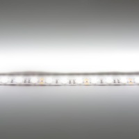 Светодиодная лента  Standart PRO class, 5050, 60led/m, day white, 12V, B150, IP33
