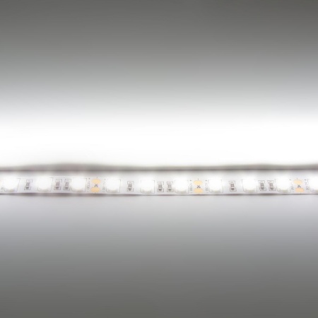Светодиодная лента  Standart PRO class, 5050, 60led/m, day white, 12V, B150, IP33