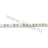 Светодиодная лента Standart class 2835, 120led/m, White, 12V, IP33, N041