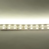 Светодиодная лента Standart PRO class, 5050, 120 led/m, Warm White, 24V, IP33