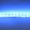 Светодиодная лента Standart PRO class, 5050, 60led/m, Blue, 12V, IP65